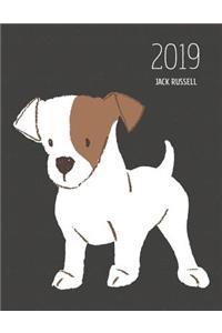 2019 Jack Russell