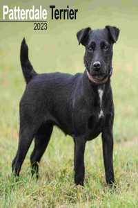 Patterdale Terrier 2023 Wall Calendar