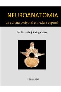 Neuroanatomia Da Coluna Vertebral E Medula Espinal