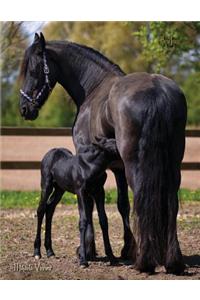 Friesian Horse Lovers Journal (8.5x11