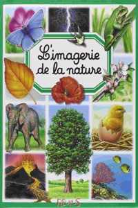 L'imagerie de la nature