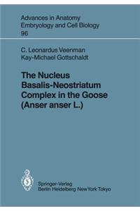 Nucleus Basalis-Neostriatum Complex in the Goose (Anser Anser L.)