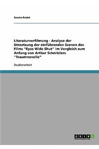 Literaturverfilmung - Analyse der Umsetzung der einführenden Szenen des Films 