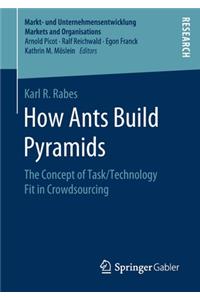 How Ants Build Pyramids