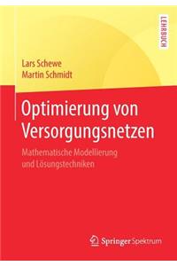 Optimierung von Versorgungsnetzen