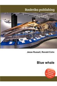 Blue Whale