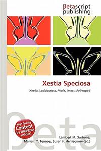 Xestia Speciosa