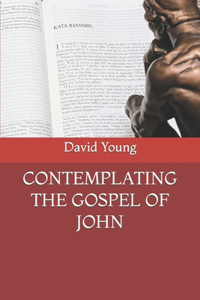 Contemplating the Gospel of John