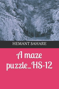 A maze puzzle_HS-12