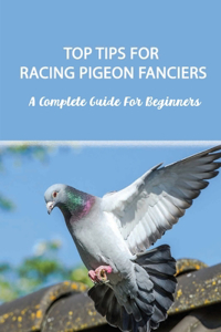 Top Tips for Racing Pigeon Fanciers