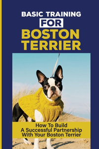Basic Training For Boston Terrier