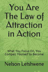 You Are The Law of Attraction in Action