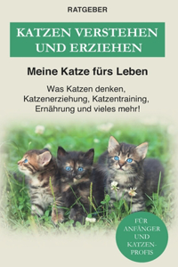 Katzen verstehen und erziehen