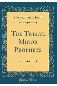 The Twelve Minor Prophets (Classic Reprint)