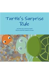 Turtle's Surprise Ride