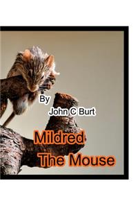 Mildred The Mouse.