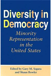 Diversity in Democracy