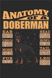 Anatomy Of A Doberman