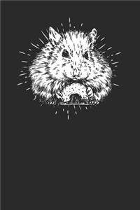 Hamster Drawing