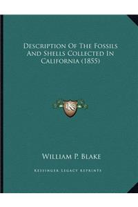 Description Of The Fossils And Shells Collected In California (1855)