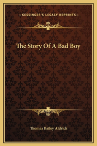 The Story Of A Bad Boy