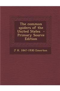 The Common Spiders of the United States