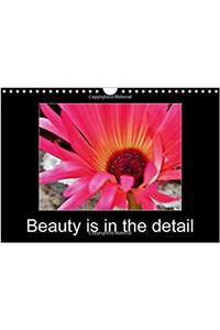 Beauty is in the Detail 2017