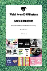 Welsh Hound 20 Milestone Selfie Challenges Welsh Hound Milestones for Selfies, Training, Socialization Volume 1
