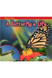 A Butterfly's Life