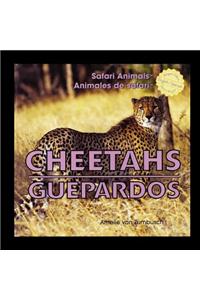 Cheetahs/Guepardos