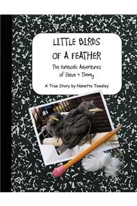 Little Birds of a Feather: The Fantastic Adventures of Steve & Timmy