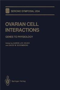 Ovarian Cell Interactions