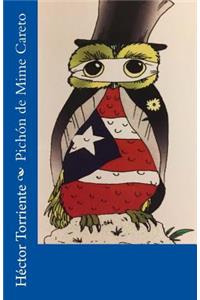 Pichón de Mime Careto