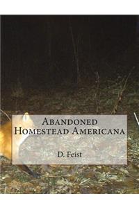 Abandoned Homestead Americana