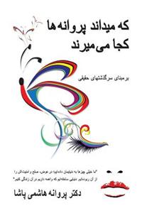 که میداند پروانه ها کجا می میرند