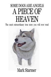 Some Dogs Are Angels