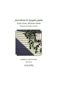 Acer rubrum To Zyzyphus jujuba