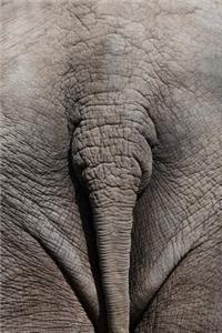 Guess What? Elephant Butt! Journal