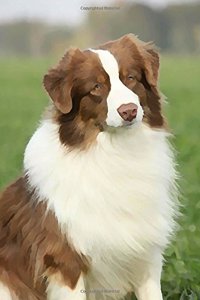 Australian Shepherd: Artified Pets Journal/Notebook/Diary 160 Pages
