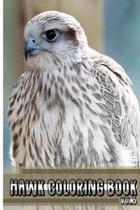 Hawk
