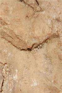 Journal Geological Design