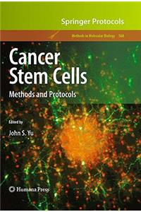 Cancer Stem Cells