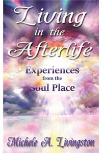 Living in the Afterlife - Experiences from the Soul Place