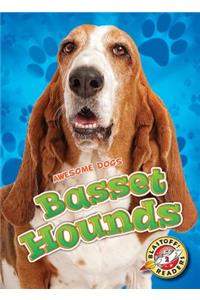 Basset Hounds