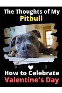 The Thoughts of My Pitbull