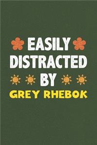 Easily Distracted By Grey Rhebok