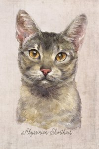 Abyssinian Shorthair Cat Portrait Notebook