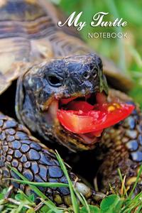 My Turtle Notebook