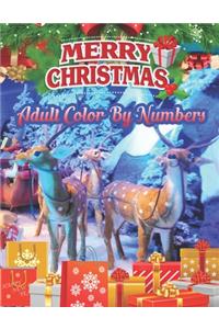 Merry Christmas Adult Color By Numbers