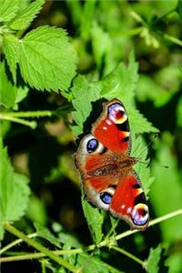 Brilliant Aglais Io European Peacock Butterfly Journal
